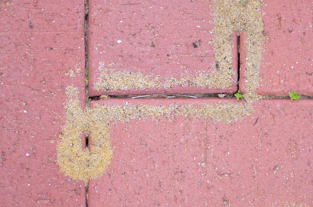 Damaged Red Brick Pavement